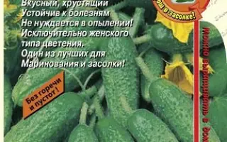 ФРАНЦУЗСКИЙ РАЗМЕР