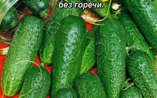 МОСКОВСКИЙ КОРНИШОН