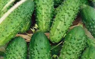 ПРОЛЕТАРСКИЙ