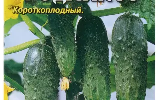 ДОНСКОЙ РОДНИК