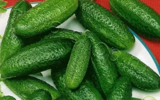 АППЕТИТНЫЙ