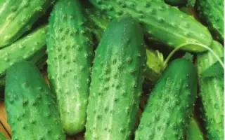 ЖУРАВЛЕНОК