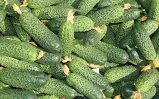 ЛУХОВИЦКИЙ