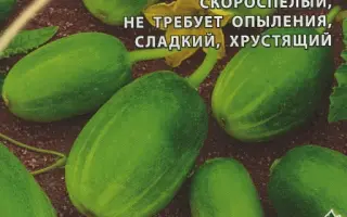 ЧУПА-ЩУПС