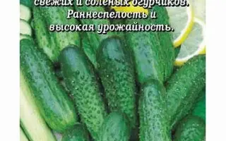 НАТАША МИКС