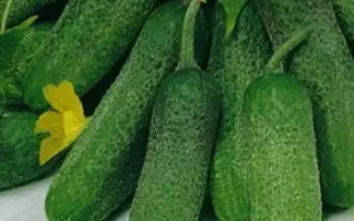 ПОСТРЕЛЕНОК