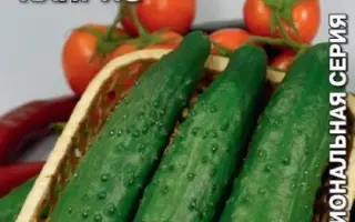 ВЕСЕННИЙ КАПРИЗ