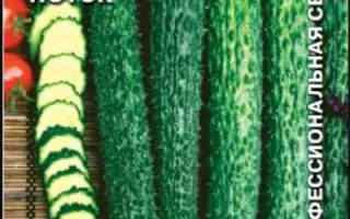 ИЗУМРУДНЫЙ ПОТОК