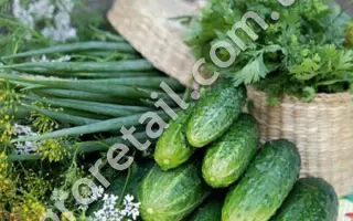 МАДМУАЗЕЛЬ