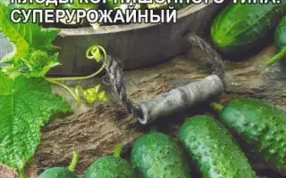 СЕСТРИЦА АЛЕНУШКА