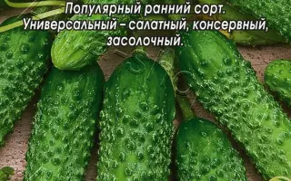 ПАРИЖСКИЙ КОРНИШОН