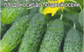 БРАТЕЦ ИВАНУШКА