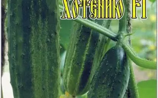 ПО МОЕМУ ХОТЕНИЮ