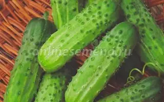 ПРЕСТОЛЬНЫЙ