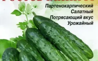 РОСТОВЧАНИН