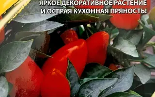 ЕГОЗА КРАСНАЯ