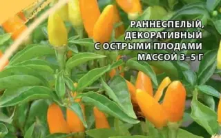 БРЫЗГИ СОЛНЦА