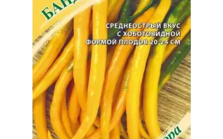 БАНДИТ ЖЕЛТЫЙ