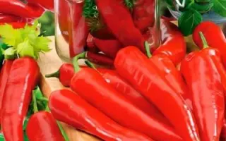 АСТРАХАНСКИЙ 147