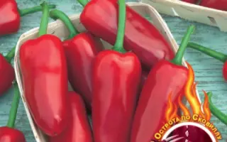 ПУЛИ КАПОНЕ