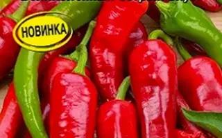 МЕДВЕЖИЙ КОГОТЬ