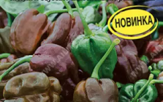 ГОРЬКИЙ ШОКОЛАД