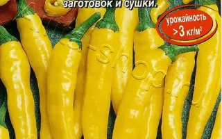 БЕНГАЛЬСКИЕ ОГНИ