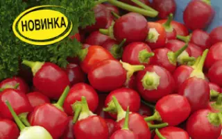 ОГНЕННЫЕ ШАРИКИ