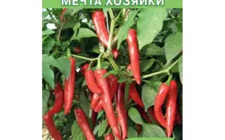 МЕЧТА ХОЗЯЙКИ