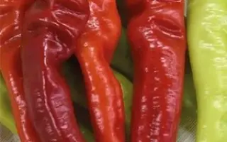 ОГНЕННЫЙ ФЛАЖОК