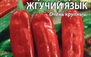 ЖГУЧИЙ ЯЗЫК