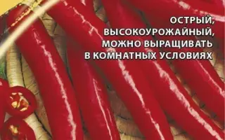 ОГНЕННЫЙ ДРАКОН