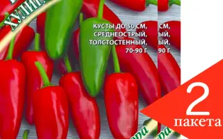 ХУЛИГАН ХАЛАПЕНЬО