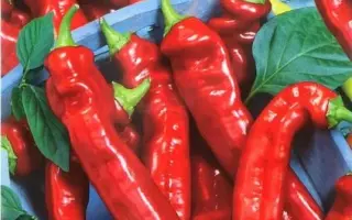 КАРАБАС БАРАБАС