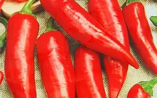 ОСТРЫЙ ЯЗЫЧОК