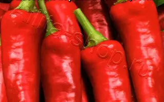 ИНДИЙСКИЙ СЛОН