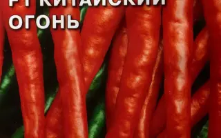 КИТАЙСКИЙ ОГОНЬ