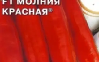 МОЛНИЯ КРАСНАЯ