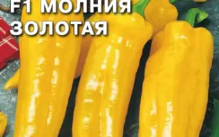 МОЛНИЯ ЗОЛОТАЯ