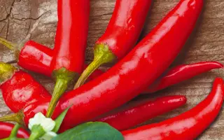 ЖГУЧИЙ БУКЕТ