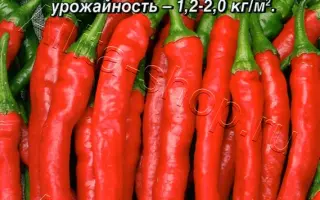 ЯЗЫК ДРАКОНА