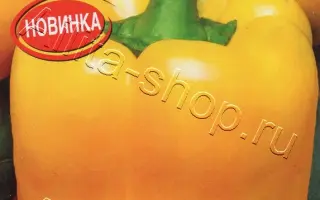 ЧУДО ЧУДНОЕ