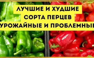 ШАЛЬНАЯ ИМПЕРАТРИЦА