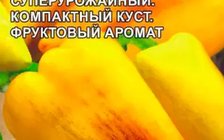 СЛАДКИЙ КАРАСЬ