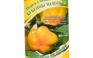 БУБЕНЦЫ ЗОЛОТЫЕ