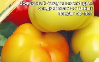 ФОН БАРОН БЕЛЫЙ