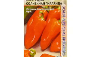 СОЛНЕЧНАЯ ГИРЛЯНДА