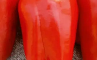 ГЕНЕРАЛЬСКИЙ