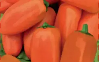 ЧЕРРИКО НИКО