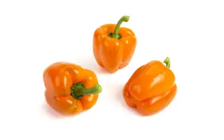 ДЖЕК МИЛЛЕР